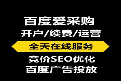 SEM竞价培训：实战案例解析与优化