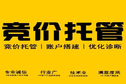 SEM优化策略：案例解读成功之道